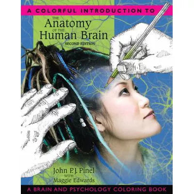 Colorful Intro to Anatomy of Human Brain (WkBk)